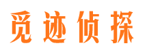 盐池市调查公司